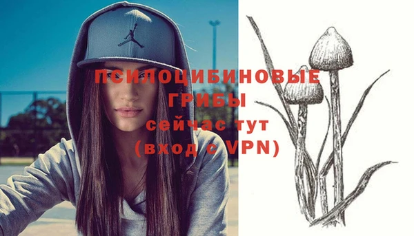 кокаин премиум Белокуриха