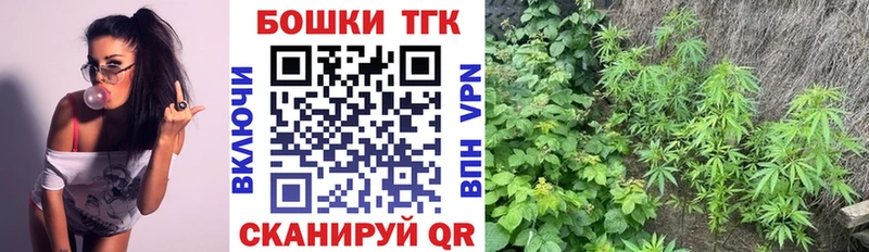 Каннабис SATIVA & INDICA  цены наркотик  Михайловск 